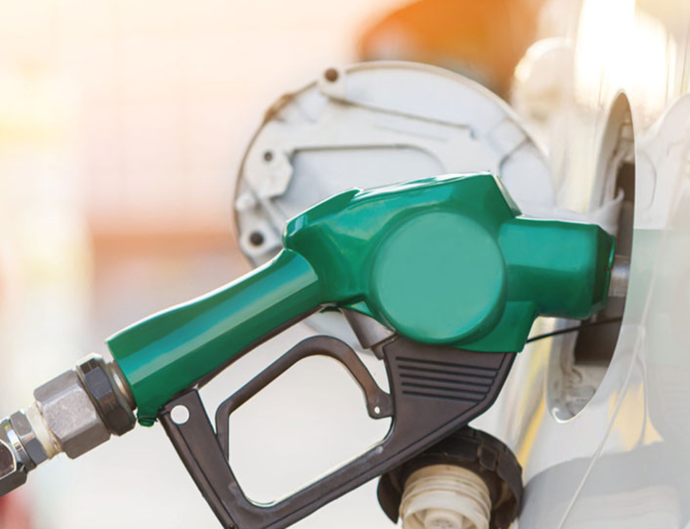 Hydrotreated Vegetable Oils